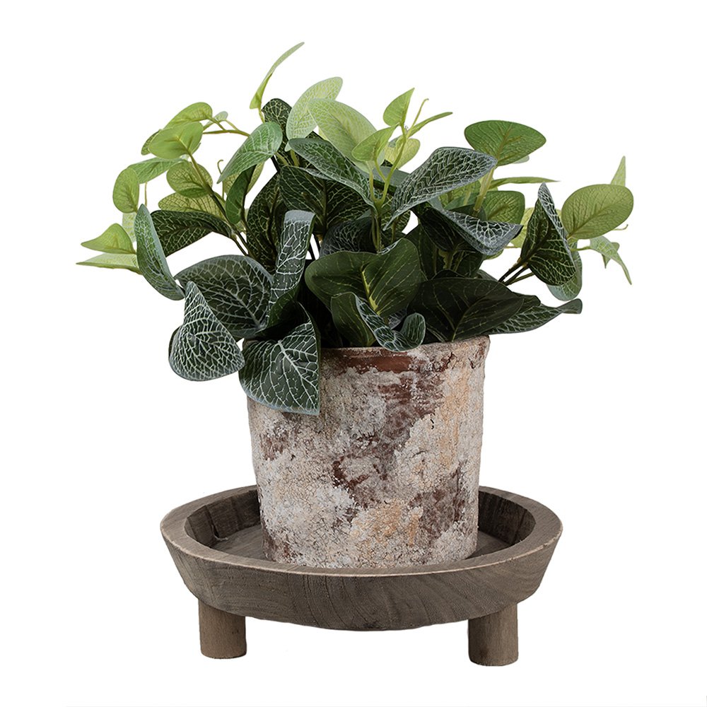 Decoratie schaal Ø 26x7 cm Bruin Hout