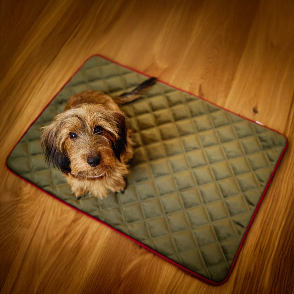 Oxford fluwelen deken voor honden