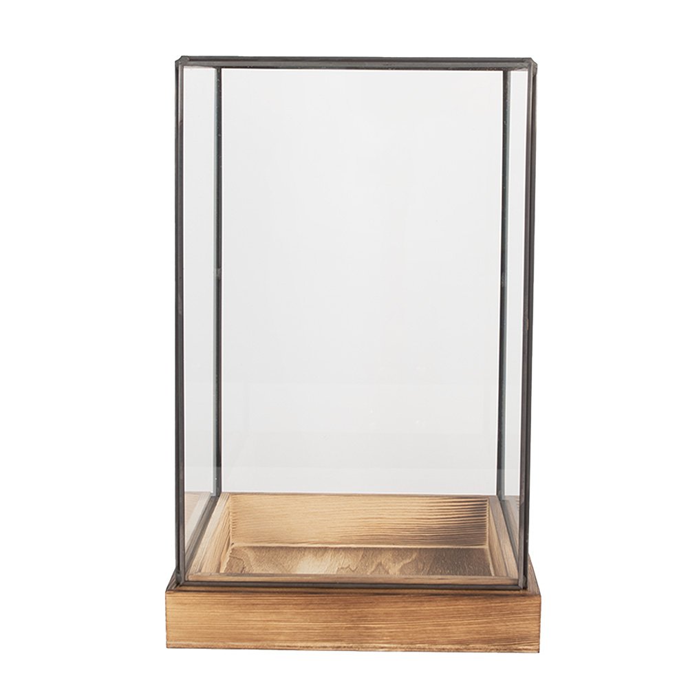 Decoratie Kweekkastje 19x19x30 cm transparant Glas