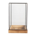 Decoratie Kweekkastje 19x19x30 cm transparant Glas