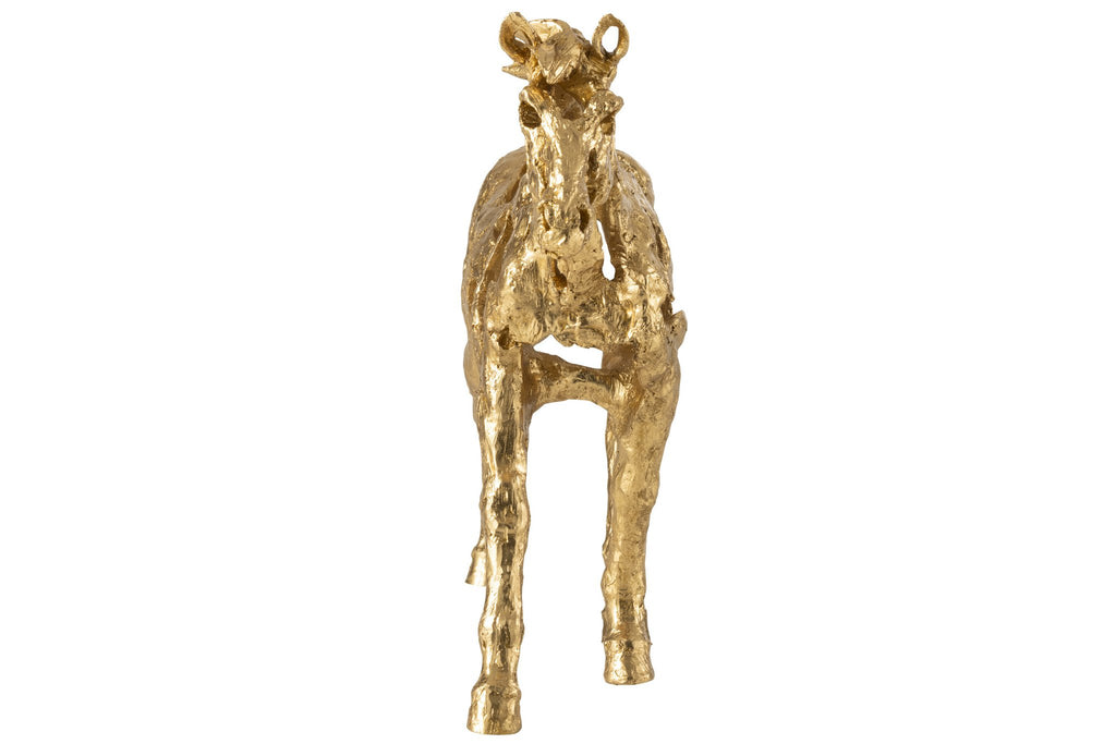 J-Line figuur Paard Rennen - polyresin - goud - L