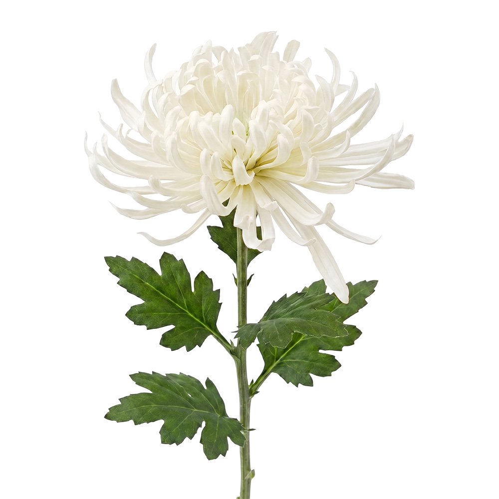 Kunstbloem Wit Kunststof