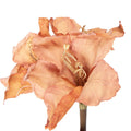 Kunstbloem 65 cm Oranje Kunststof
