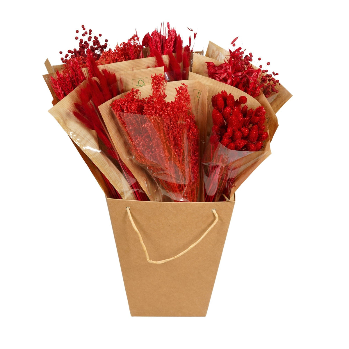 Droogbloemen Mono Bossen - Rood