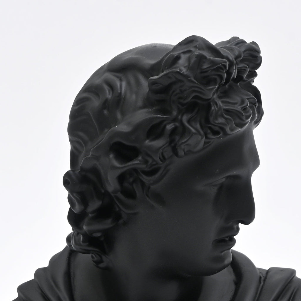 Zwarte Apollo buste sculptuur voor modern interieur