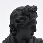 Zwarte Apollo buste sculptuur voor modern interieur