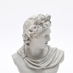 Apollo buste sculptuur – wit klassiek Grieks beeld voor elegant interieur
