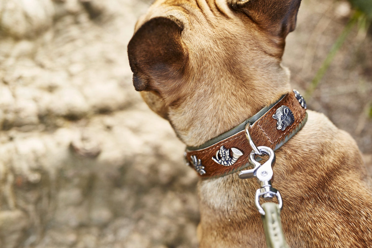 Bavaria - Exclusieve hondenhalsband in een spannende materiaalmix