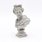 Apollo buste sculptuur – wit klassiek Grieks beeld voor elegant interieur