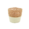 Stro mand met plastic 15x17/12cm naturel/licht groen