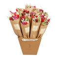 Gedroogde bloemen - Markt Meer - Red Allure
