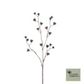 Abutilon zaadspray L83cm naturel