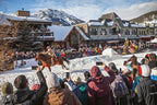 De kunst van het skiën (Engels)