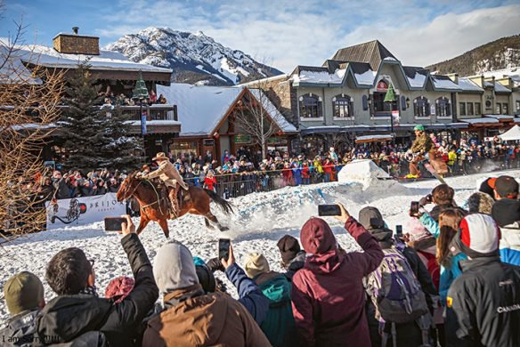 De kunst van het skiën (Engels)