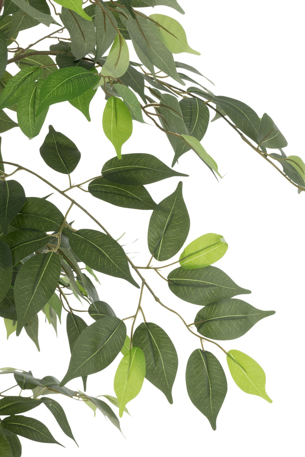 J-Line ficus in pot - kunststof - groen