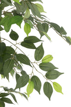 J-Line ficus in pot - kunststof - groen