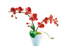 Bouwpakket 3D Model DIY Vlinderorchidee in Pot- gekleurd- metaal
