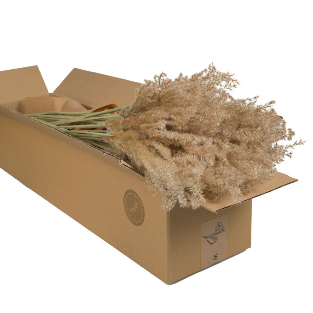 Droogbloemen - Miscanthus Naturel 5st