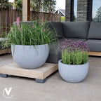 Plantenpot - Louisiana grey OP = OP