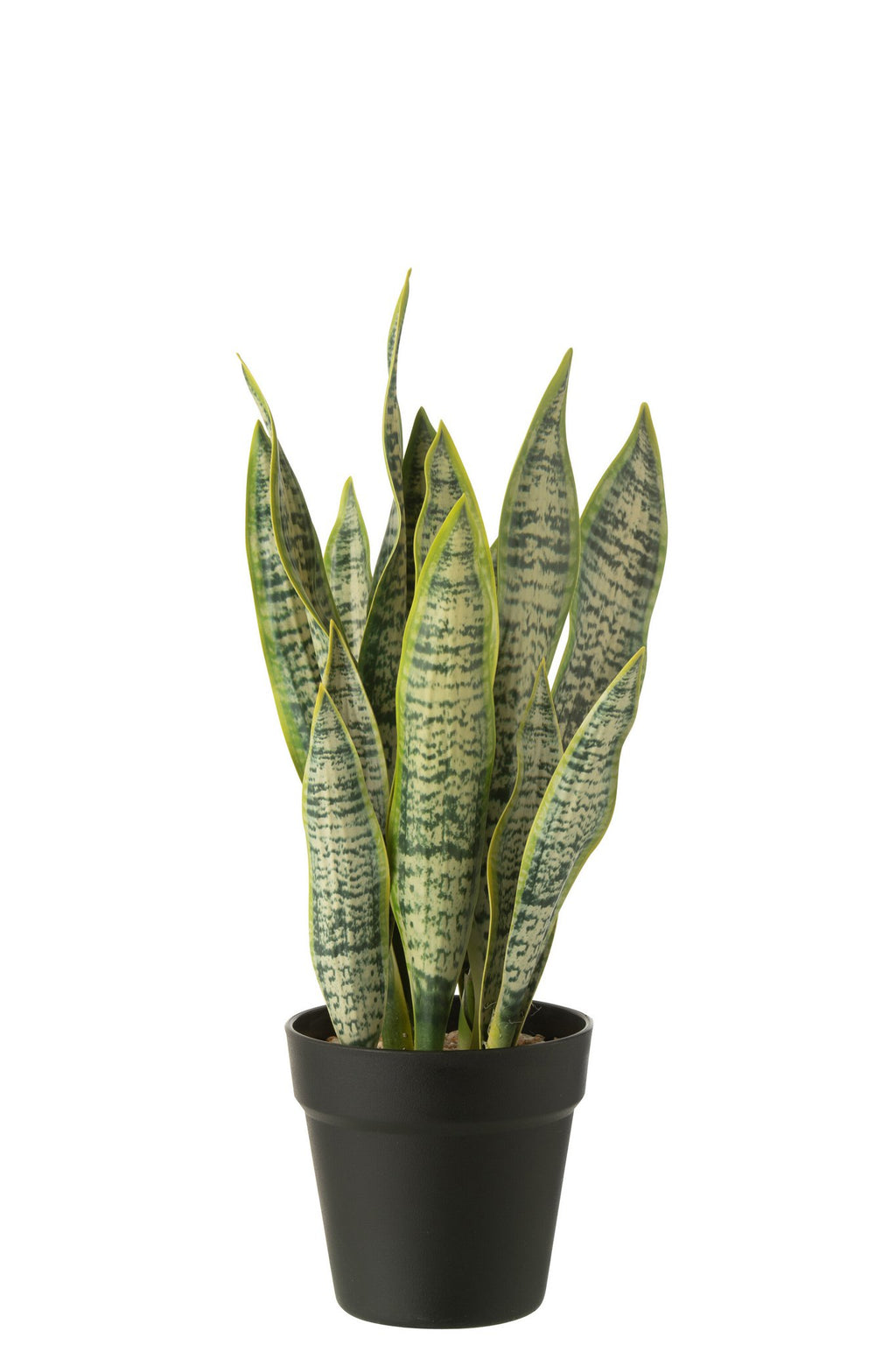 J-Line Dracaena Trifasciata In Pot Kunstmatig Groen Medium