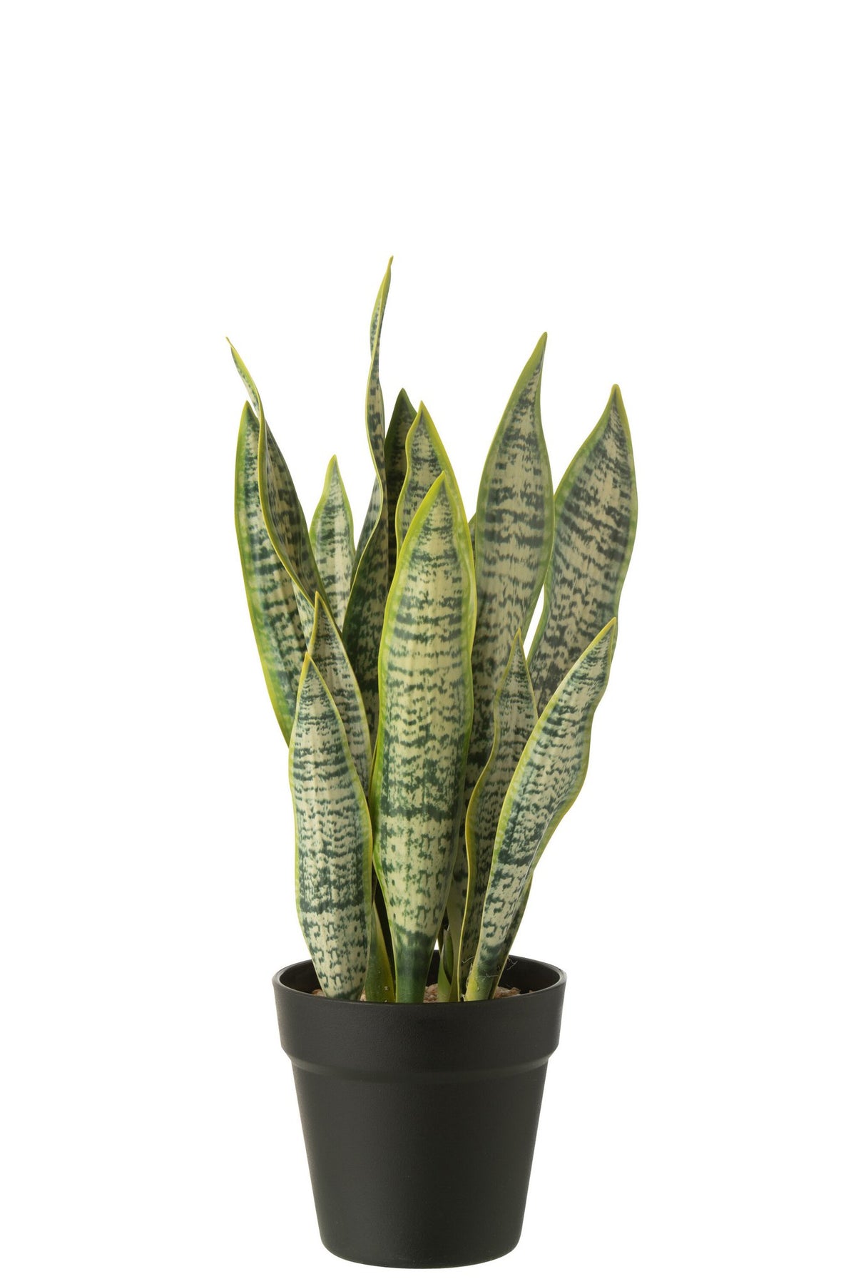 J-Line Dracaena Trifasciata In Pot Kunstmatig Groen Medium