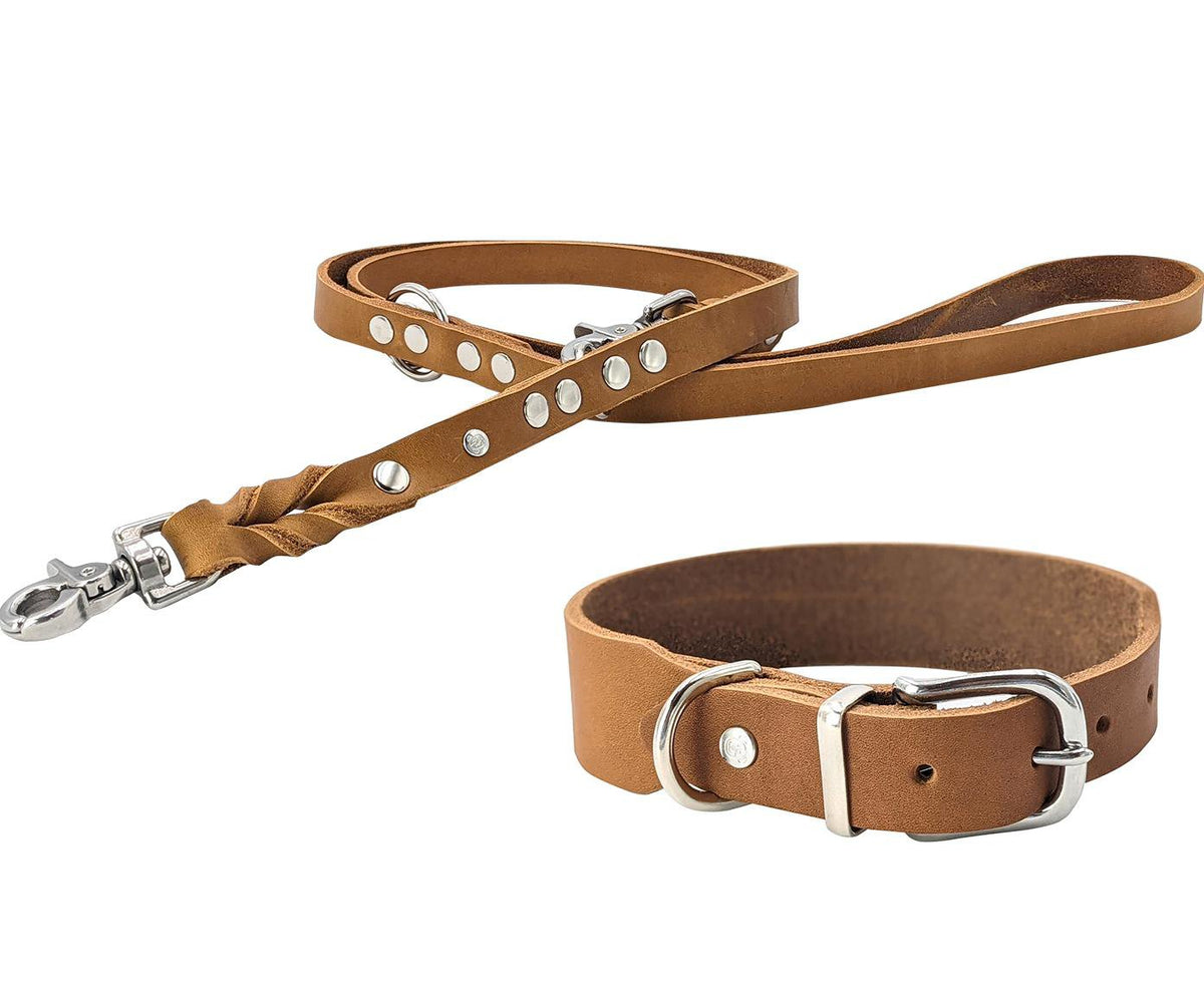 Giro leren halsband voor honden