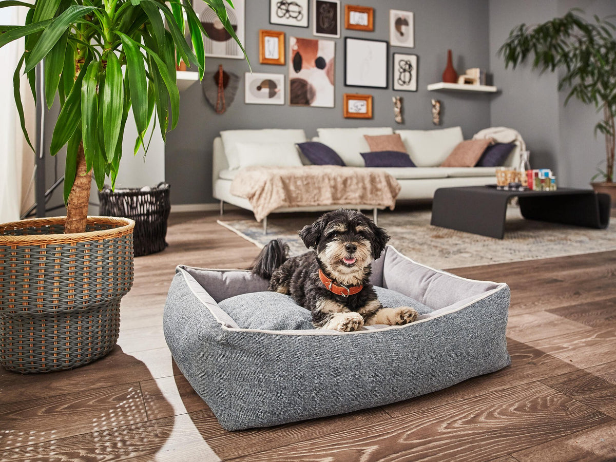 Scala Klassieke Hundebett