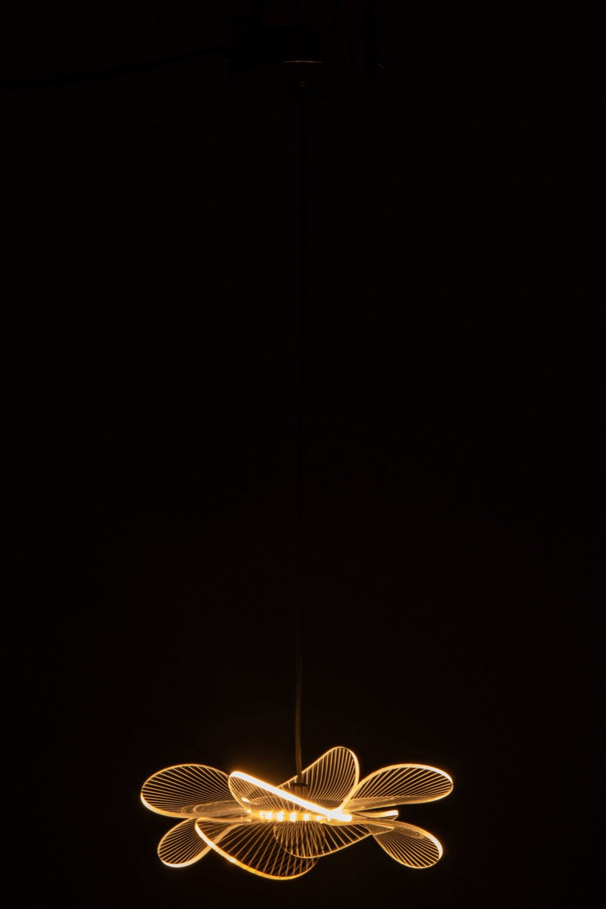 J-Line plafondlamp bloem - acryl - goud - small