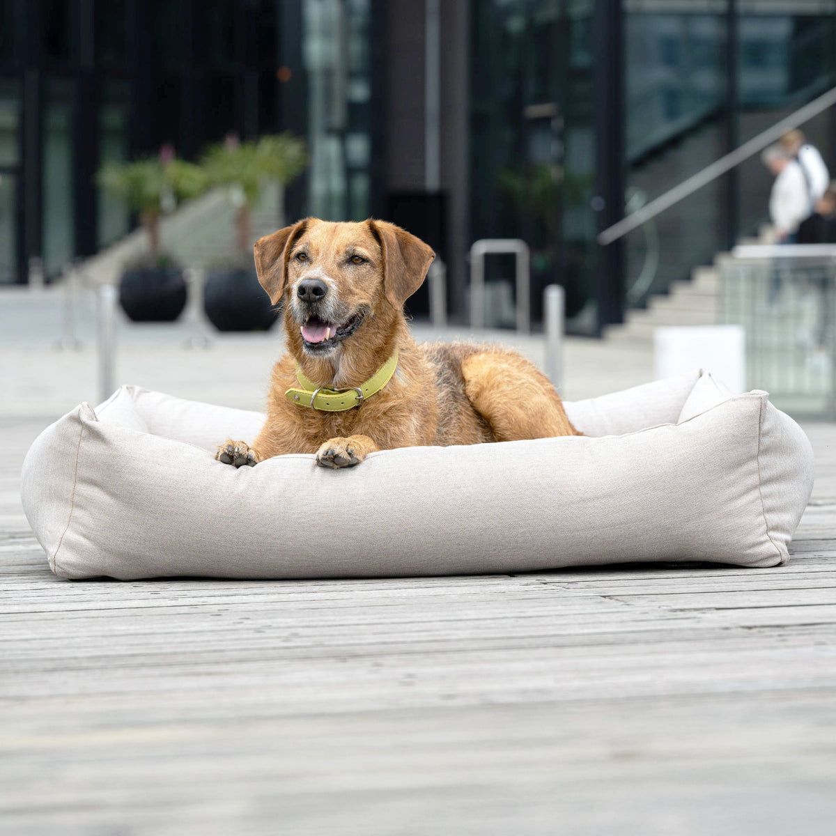Soepele Ortho | Premium orthopedisch hondenbed