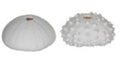 Kunststof zee-egel 4x9cm ass wit