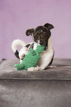Tina Turtle - cultspeelgoed voor honden