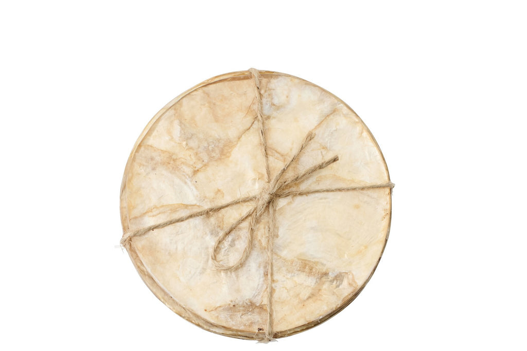 J-Line onderzetter Schelp - polyresin - bruin - set van 6