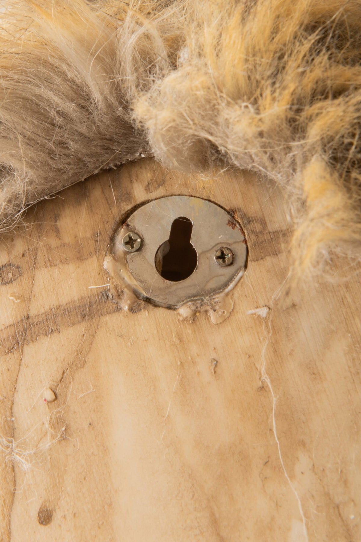 J-Line wanddecoratie Hert Kop - polyresin - bruin/lichtbeige - large