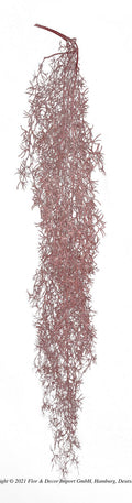 Sprengeri hanger 85cm violet