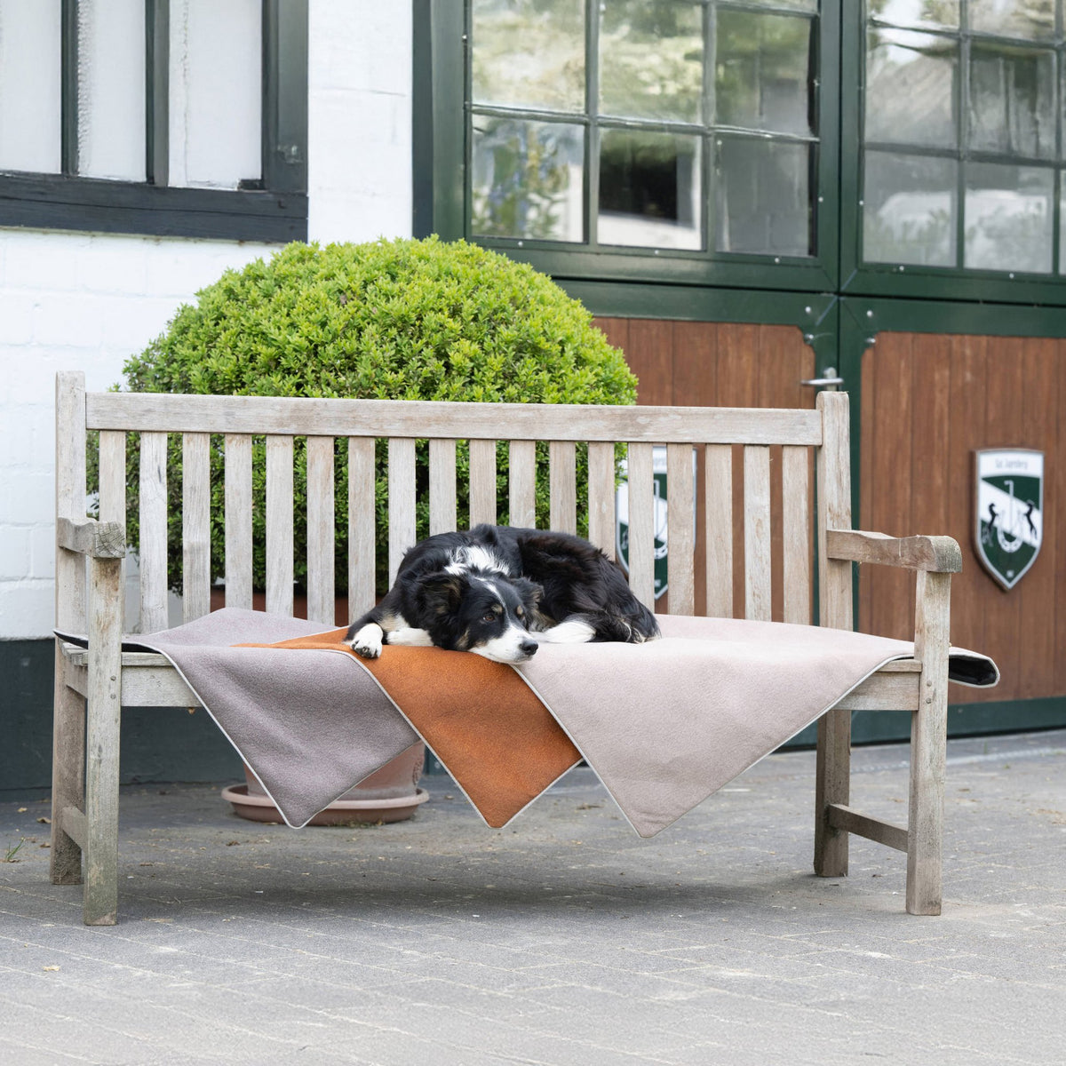 Buffalo reis- en outdoordeken voor honden