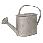 Decoratie Gieter 40x14x25 cm Grijs Metaal Plantengieter