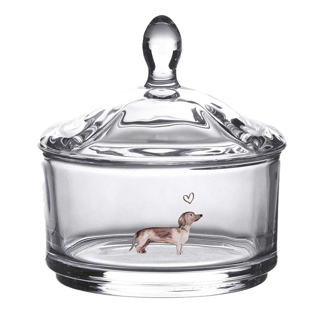Glazen potje Ø 9x9 cm Glas Teckel Potje