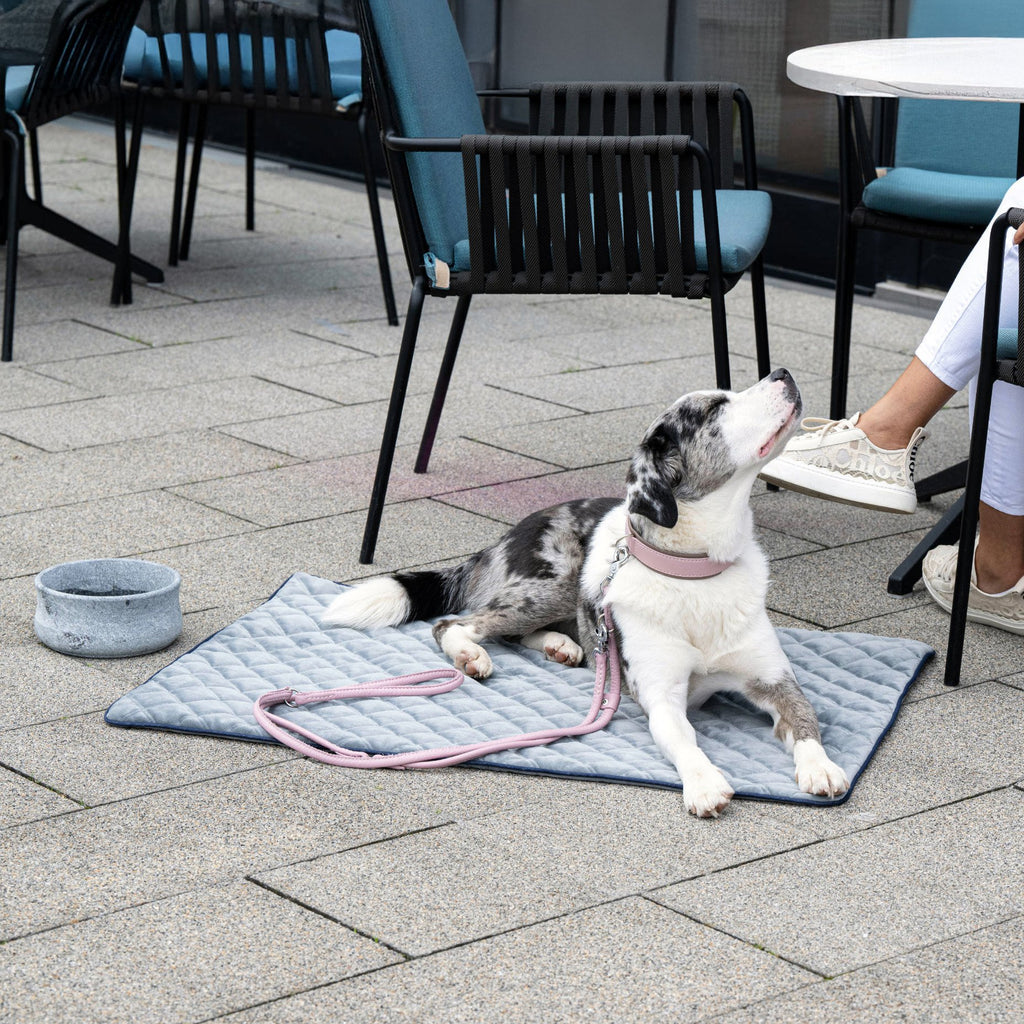 Oxford fluwelen deken voor honden