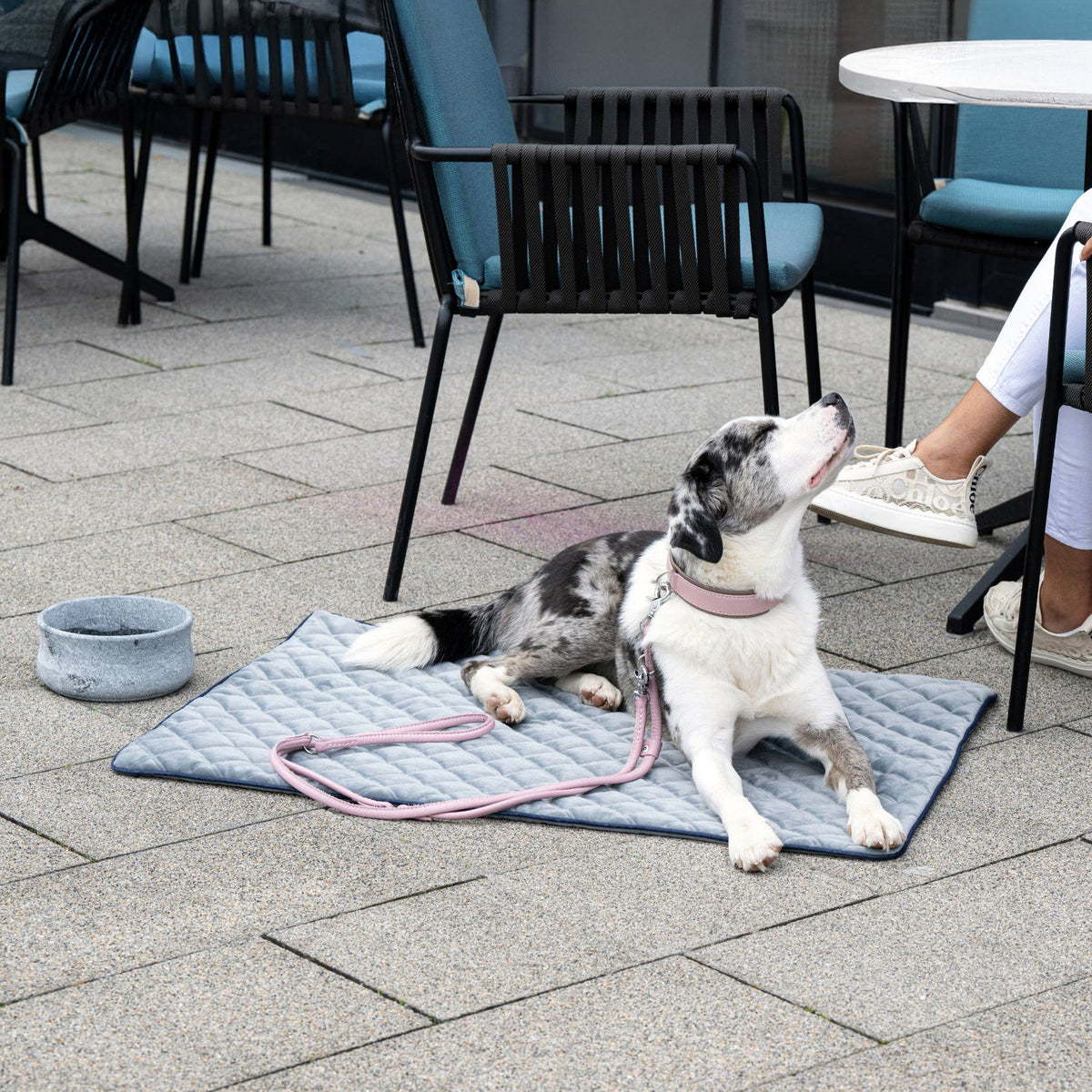Oxford fluwelen deken voor honden