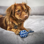 Mini-slingbal - cultspeelgoed voor honden