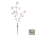 Prunus malaga pink cream 126cm