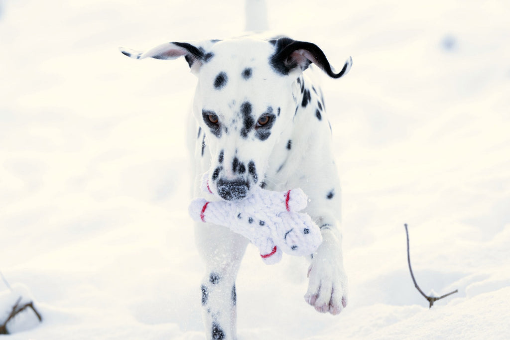 Shawn de Sneeuwman - cultspeelgoed voor honden