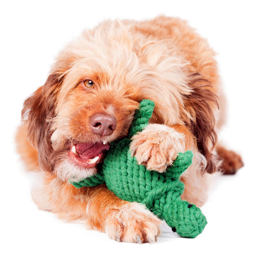 Tina Turtle - cultspeelgoed voor honden