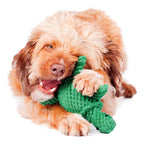 Tina Turtle - cultspeelgoed voor honden
