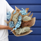 Gedroogde bloemen Mono Bunches - Baby Blue