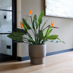 Plantenpot - Roskilde taupe