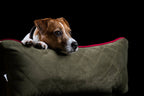 Oxford I Klassieke Hundebett