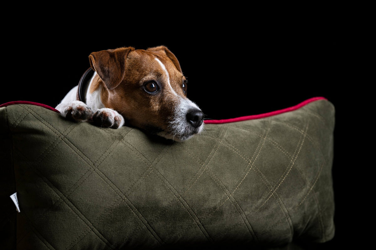 Oxford I Klassieke Hundebett