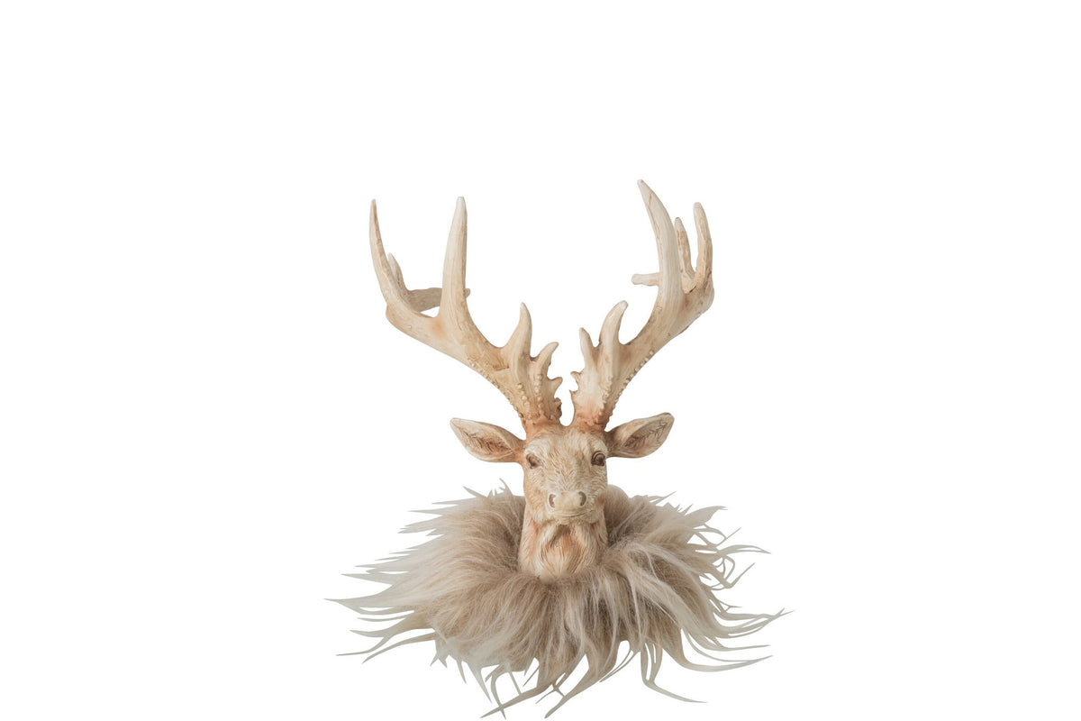 J-Line decoratie Rendier Hoofd - polyresin - lichtbeige - small