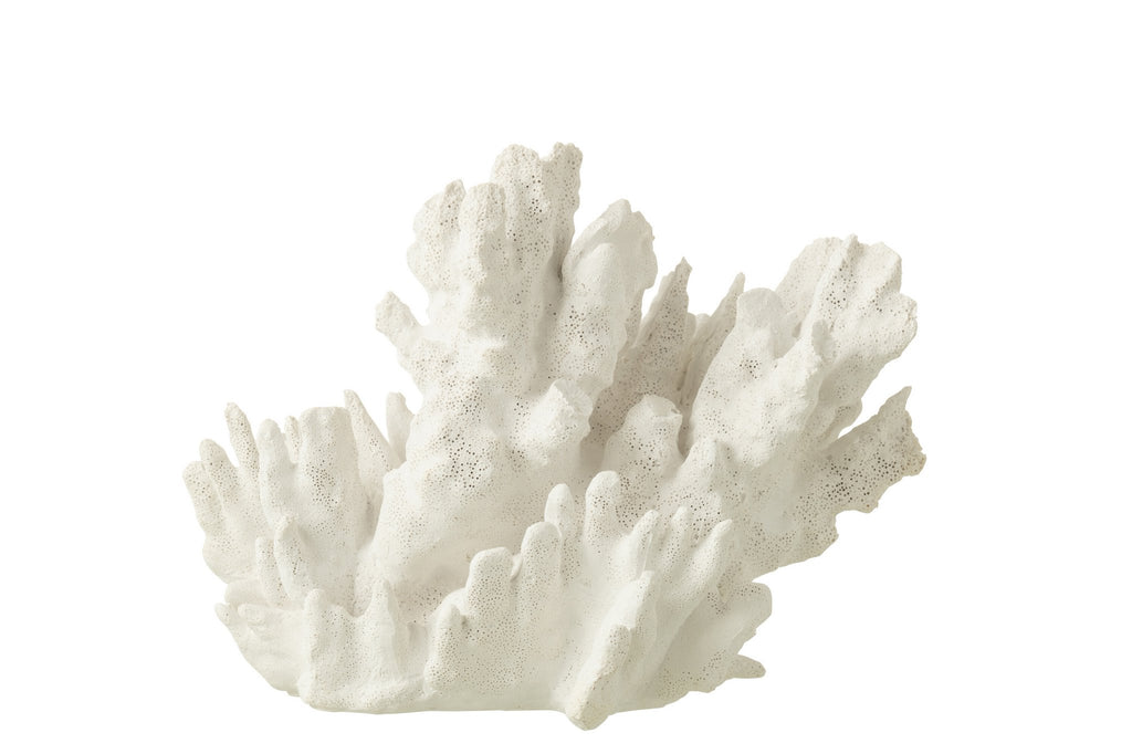 J-Line decoratie Koraal - polyresin - wit - groot